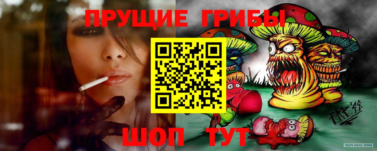 Псилоцибиновые грибы мухоморы Бор