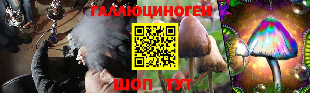 Псилоцибиновые грибы ЛСД  Галлюциногенные грибы Psilocybe  купить закладку  Вход с VPN  Бор 